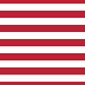 United States Navy Jack 1776 Photograph by Robert Banach