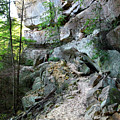 Unnamed Rock Face 7 Photograph by Phil Perkins Unnamed Rock Face 7 Photograph by Phil Perkins