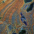 Untitled Photograph by David Little-Smith Untitled Photograph by David Little-Smith