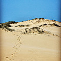 Up the Dune Photograph by Sarah Lilja Up the Dune Photograph by Sarah Lilja