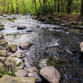 Upstate New York - Ten Mile River Narrowsburg Photograph by Amelia Pearn Upstate New York - Ten Mile River Narrowsburg Photograph by Amelia Pearn