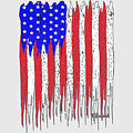 USA Flag Old Glory Limited Edition by Walter Herrit