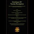 Vaccine Passport Digital Art by Norman Brule Vaccine Passport Digital Art by Norman Brule