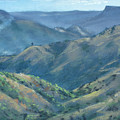 Valley of 1000 Hills by Christopher Reid