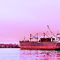Vancouver Canada North Shore View 0315-100 by Neptune Images