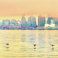 Four Canadian Geese Vancouver Canada North Shore 0318103POD by Neptune Images