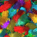 Various color feather background Photograph by Severija Kirilovaite Various color feather background Photograph by Severija Kirilovaite