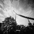 Velociraptor - Paultons park by Will Gudgeon