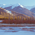Vermillion Winter by Roberta Murray