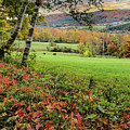 Vermont Morning on the Farm Photograph by Jeff Folger Vermont Morning on the Farm Photograph by Jeff Folger