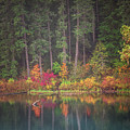 Vibrant Lake Shore by Ryan Weddle