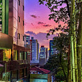 Vibrant Urban Sunset in Downtown Belo Horizonte by Leslie Brashear