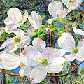 View Beyond Dogwood-Flowering dogwood Painting by Hailey E Herrera
