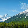 View From The Icefield Parkway Photograph by Rick Deacon View From The Icefield Parkway Photograph by Rick Deacon