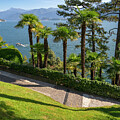Villa del Balbianello - Lago di Como - Italy 104 by Jenny Rainbow