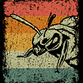 Vintage Bee Wasp Gift by J M Vintage Bee Wasp Gift by J M