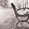 Vintage Bench 1 by Toni Somes