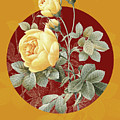 Vintage Botanical Yellow Rose on Circle Red on Yellow Painting by Holy Rock Design Vintage Botanical Yellow Rose on Circle Red on Yellow Painting by Holy Rock Design