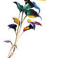 Violets are Blue Digital Art by Rafael Salazar Violets are Blue Digital Art by Rafael Salazar