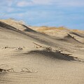 Virgin Dunes I by David Wennerberg