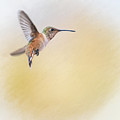 Visitor by Marilyn McFarlin