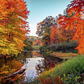 Vivid colors of autumn 4 Photograph by Lilia D Vivid colors of autumn 4 Photograph by Lilia D