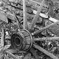 Wagon Wheel Remains B W by David T Wilkinson
