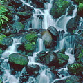 Wahkeena Falls Columbia River Gorge Nsa Oregon Photograph by Dave Welling Wahkeena Falls Columbia River Gorge Nsa Oregon Photograph by Dave Welling