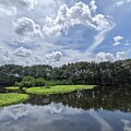 Wakotahatchee 245 by David McKinney