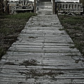 Walk Back in Time Photograph by M Kathleen Warren Walk Back in Time Photograph by M Kathleen Warren