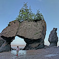 Walking on the ocean floor Photograph by Yvonne Jasinski Walking on the ocean floor Photograph by Yvonne Jasinski
