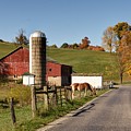 Walnut Creek Farm Photograph by Ann Bridges Walnut Creek Farm Photograph by Ann Bridges