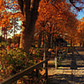 Warm Colors of Autumn Digital Art by Edward Galagan