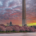 Washington Monument Sunset Photograph by Sebastian Musial Washington Monument Sunset Photograph by Sebastian Musial