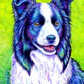 Watchful Eye - Colorful Border Collie Dog Painting by Rebecca Wang Watchful Eye - Colorful Border Collie Dog Painting by Rebecca Wang