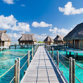 Water bungalows at beach resorts in Tahiti Photograph by Max shen