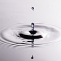 Water Drops Splash Down Purple Photograph by Amelia Pearn Water Drops Splash Down Purple Photograph by Amelia Pearn