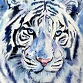 Water Tiger Energy by Michal Madison