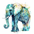 Watercolor Animal 71 Elephant Digital Art by Matthias Hauser Watercolor Animal 71 Elephant Digital Art by Matthias Hauser