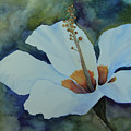 Watercolor Lily Painting by Jeanette French Watercolor Lily Painting by Jeanette French