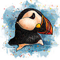 Watercolor puffin splatter art, Puffin head Painting by Nadia CHEVREL Watercolor puffin splatter art, Puffin head Painting by Nadia CHEVREL