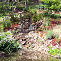 Waterfall, Holberry House, Nannup, Western Australia Photograph by Elaine Teague Waterfall, Holberry House, Nannup, Western Australia Photograph by Elaine Teague