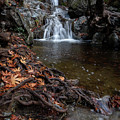 Waterfall in autumn. Photograph by Michalakis Ppalis Waterfall in autumn. Photograph by Michalakis Ppalis