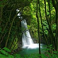 Waterfall in the Azores by Gaspar Avila Waterfall in the Azores by Gaspar Avila