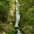 Waterfall in the Forest Photograph by Melissa Southern Waterfall in the Forest Photograph by Melissa Southern