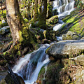 Waterfall In The Smokies Photograph by Phil Perkins Waterfall In The Smokies Photograph by Phil Perkins
