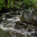 Waterfall in the WOods Photograph by Regina Muscarella Waterfall in the WOods Photograph by Regina Muscarella