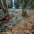 Waterfall splashing in the canyon in autumn. Photograph by Michalakis Ppalis Waterfall splashing in the canyon in autumn. Photograph by Michalakis Ppalis
