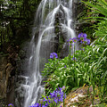 Waterfall with Flowers Photograph by Denise Kopko Waterfall with Flowers Photograph by Denise Kopko