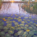 Waterlilies South Africa Painting by Karen Zuk Rosenblatt Waterlilies South Africa Painting by Karen Zuk Rosenblatt